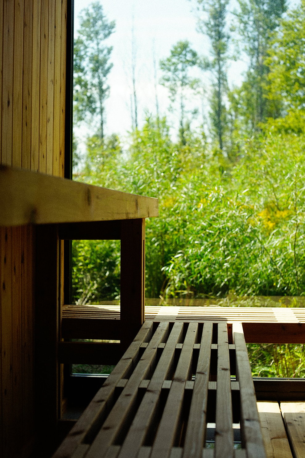 Cedar sauna benches beside a picture window overlooking trees