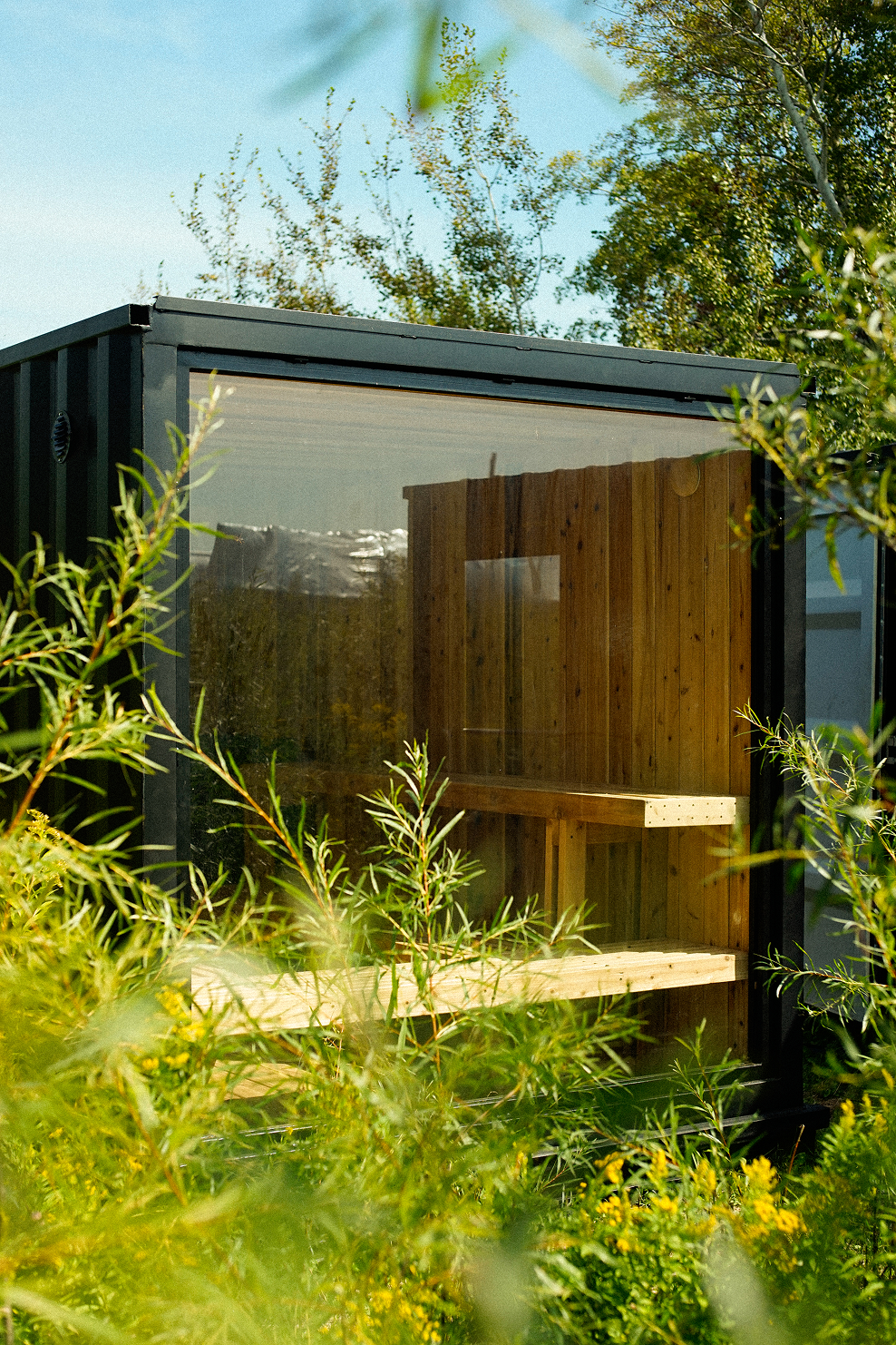 Woods & Water container sauna with a full-height window surrounded by greenery
