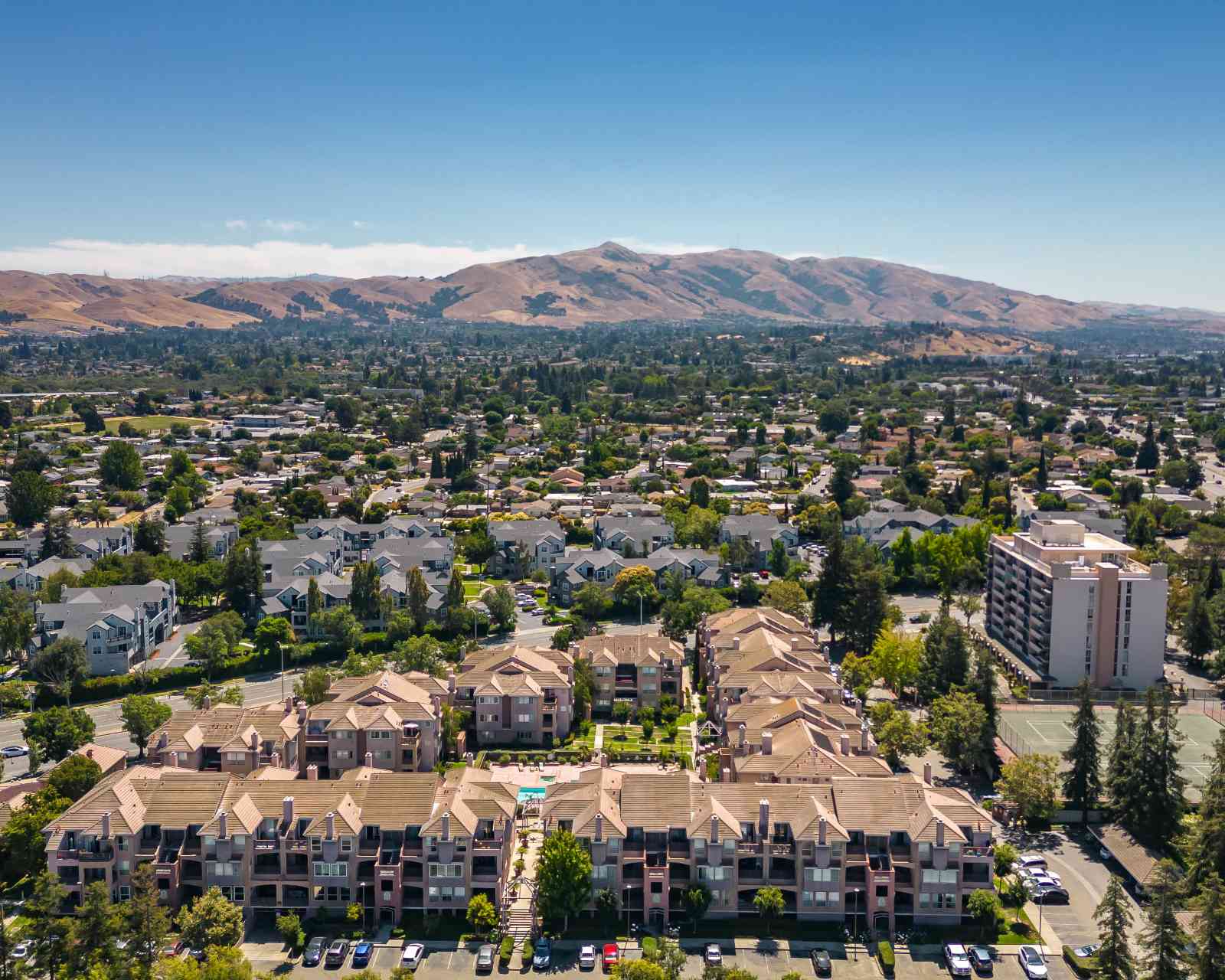 Mental healthcare for seniors in Fremont