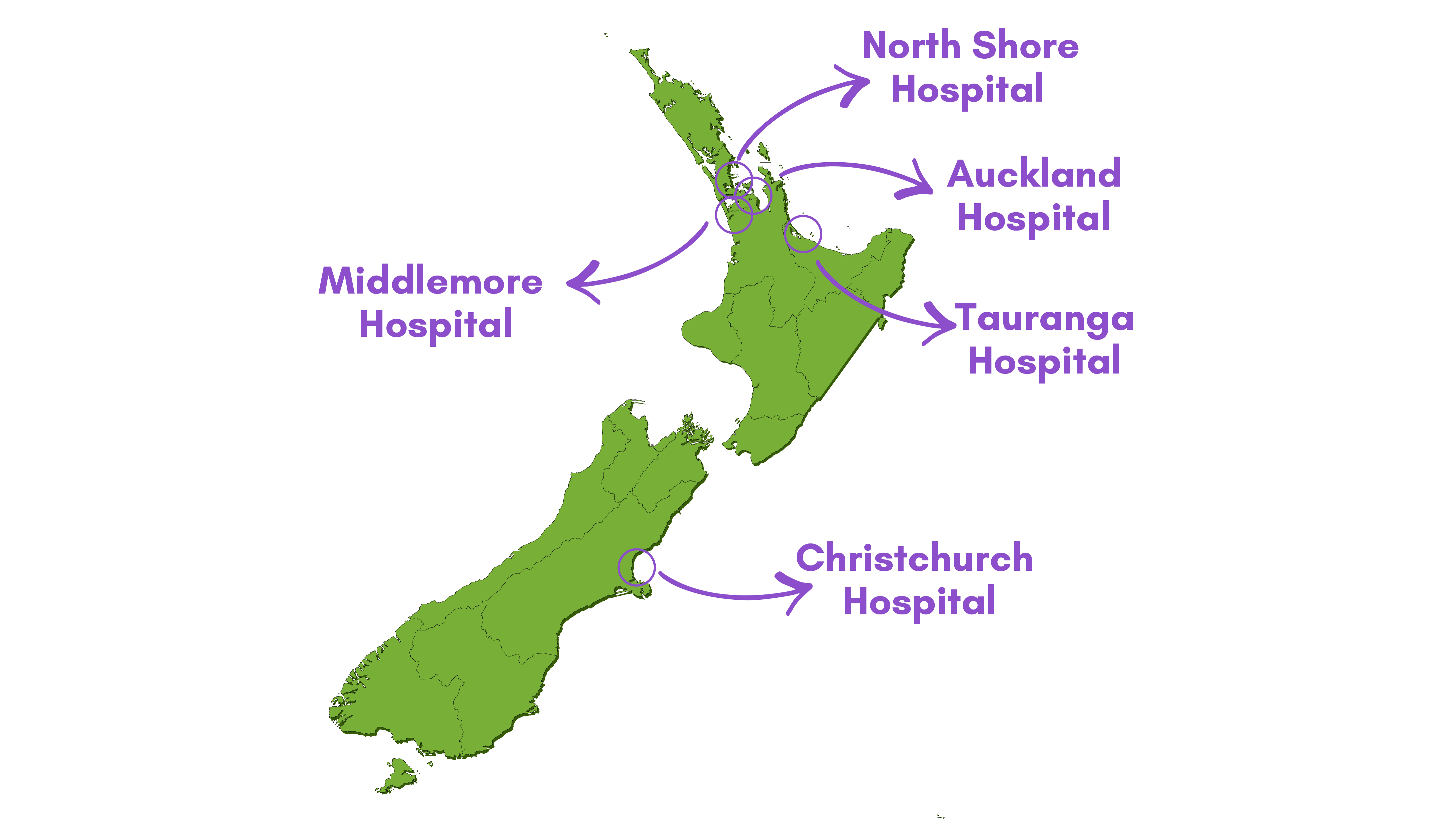 ROADMAP Trial Governance