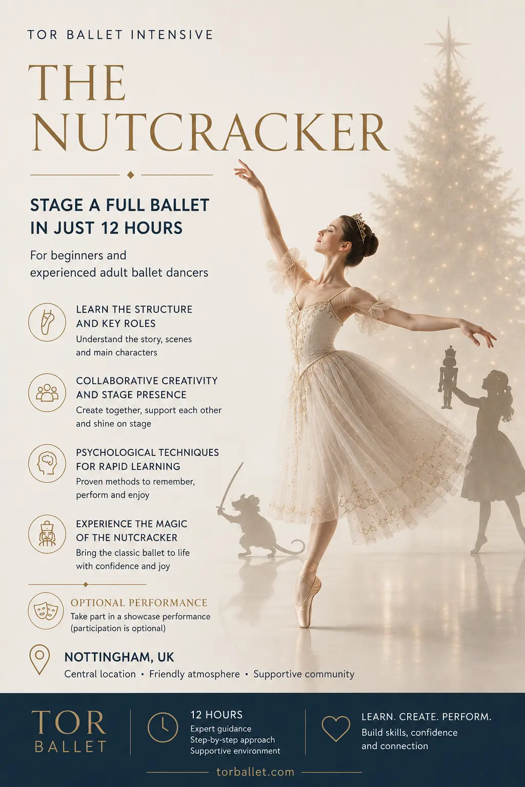 Adult ballet Beginners