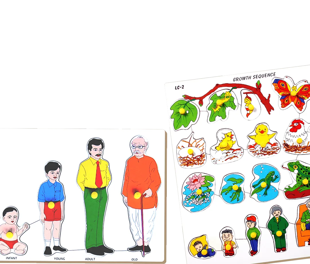 Wooden Life Cycle Puzzle.