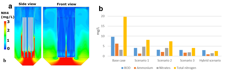 CFD simulations showing ammonia gradient inside the large-scale BMBR 