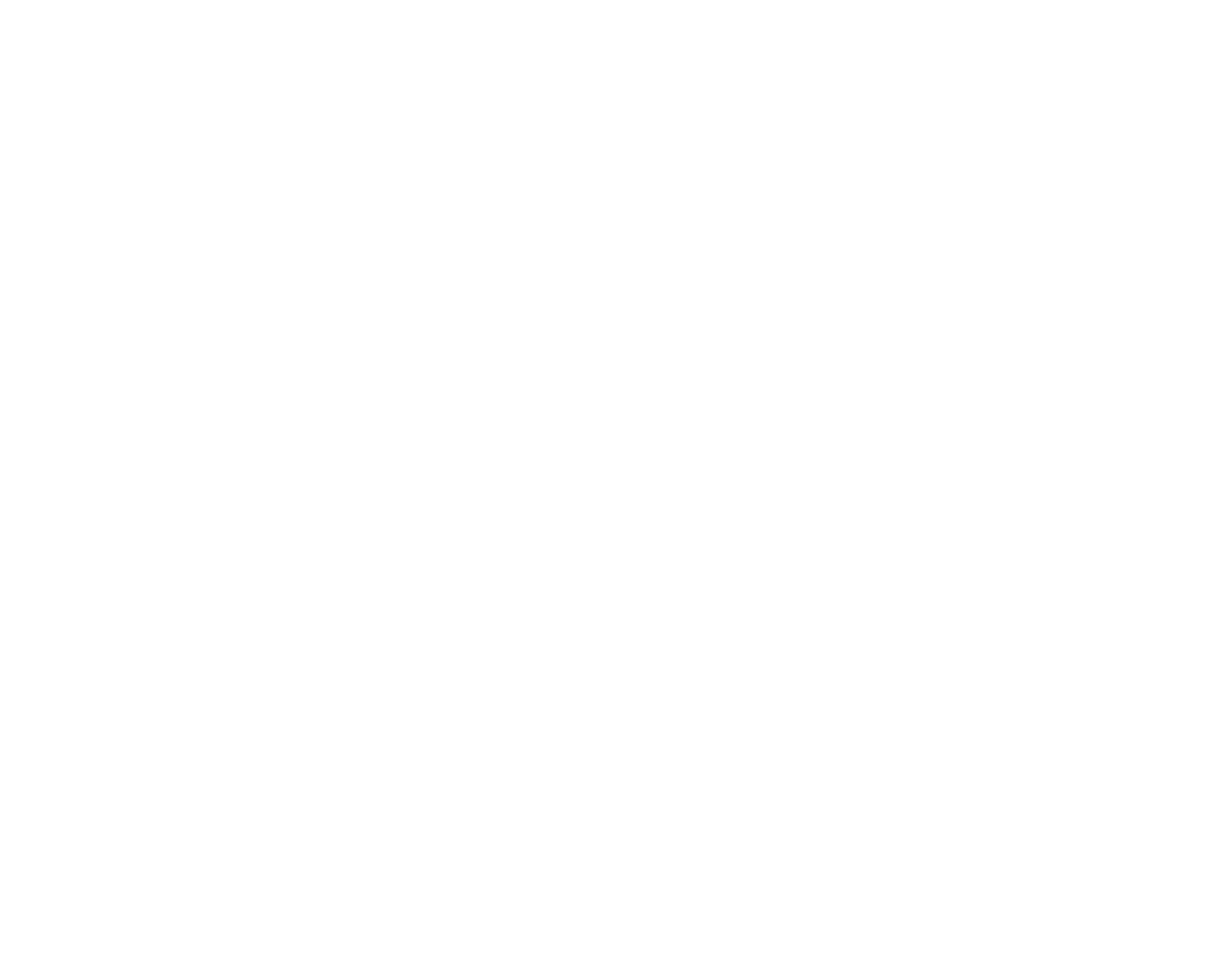 Bücherpiraten