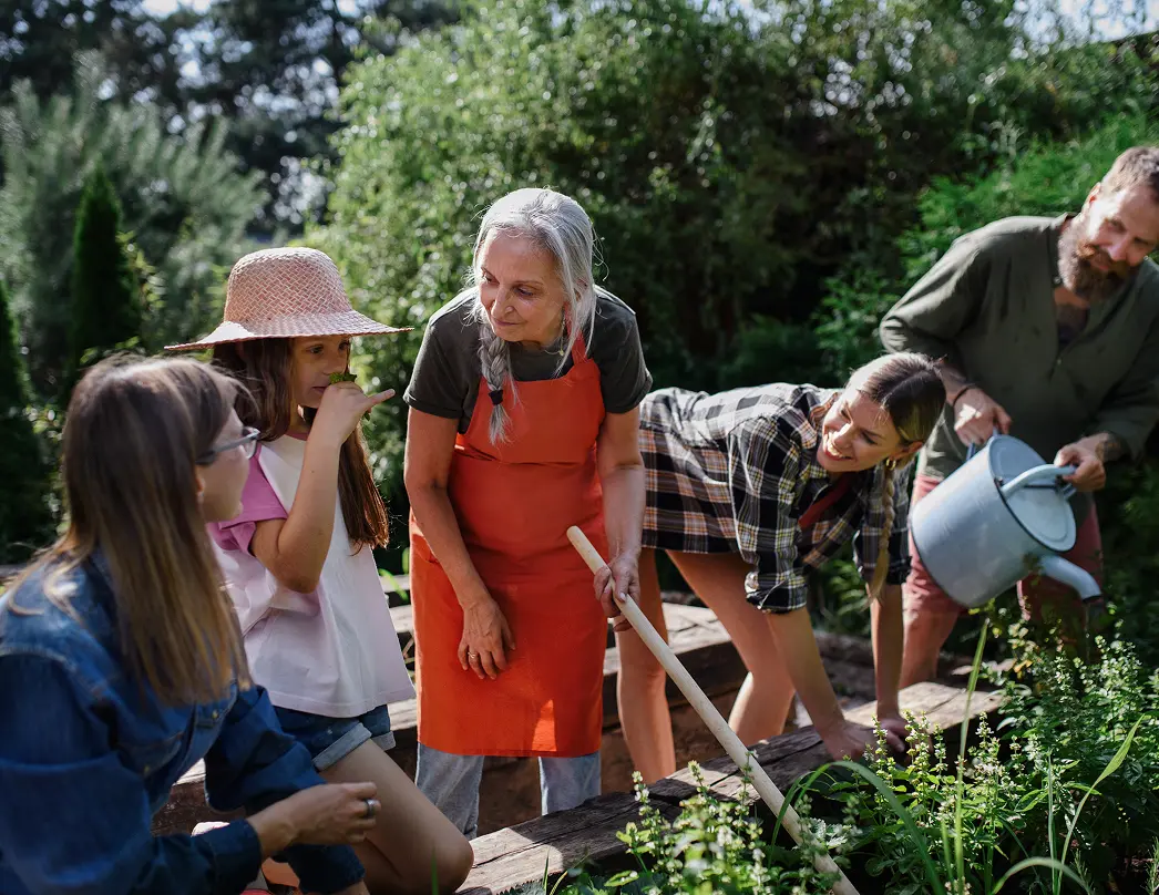 Community gathering around to help tend a garden
