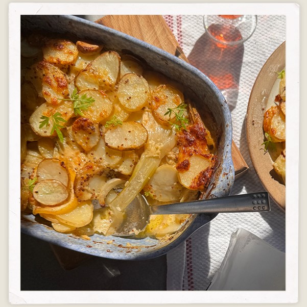 New Potato, Fennel and Cheddar Gratin 