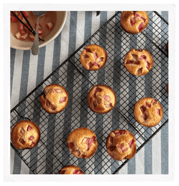 Rhubard & Lemon Friands
