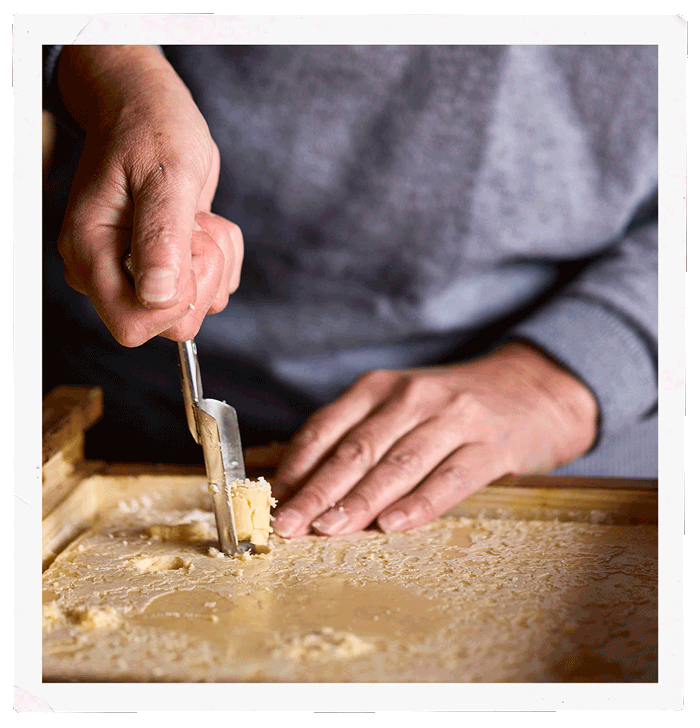 The language of cheese