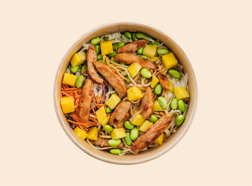 Teriyaki-Chicken-Bowl