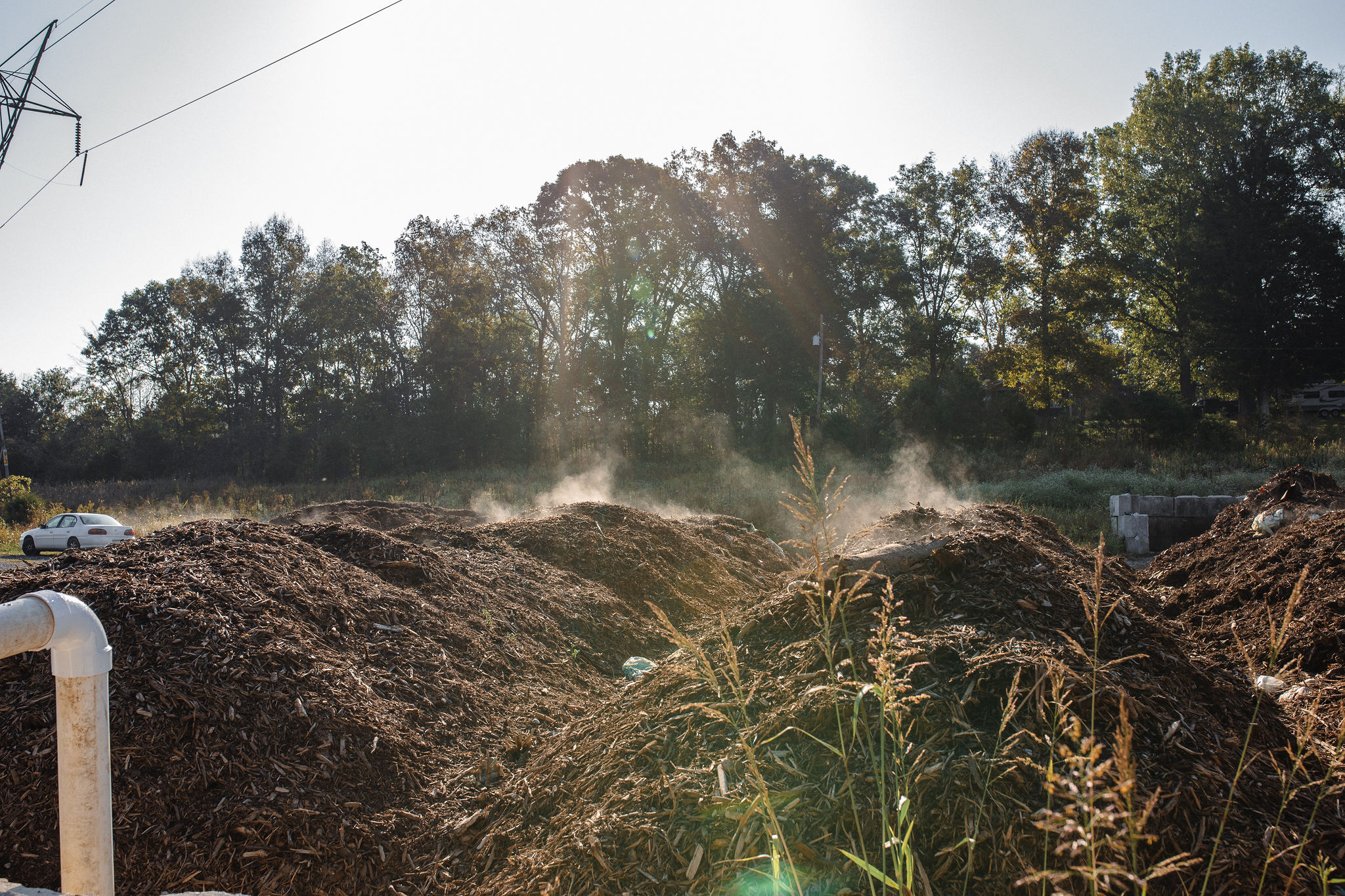 A fabulous app, less expensive food, Valentine's caviar. 