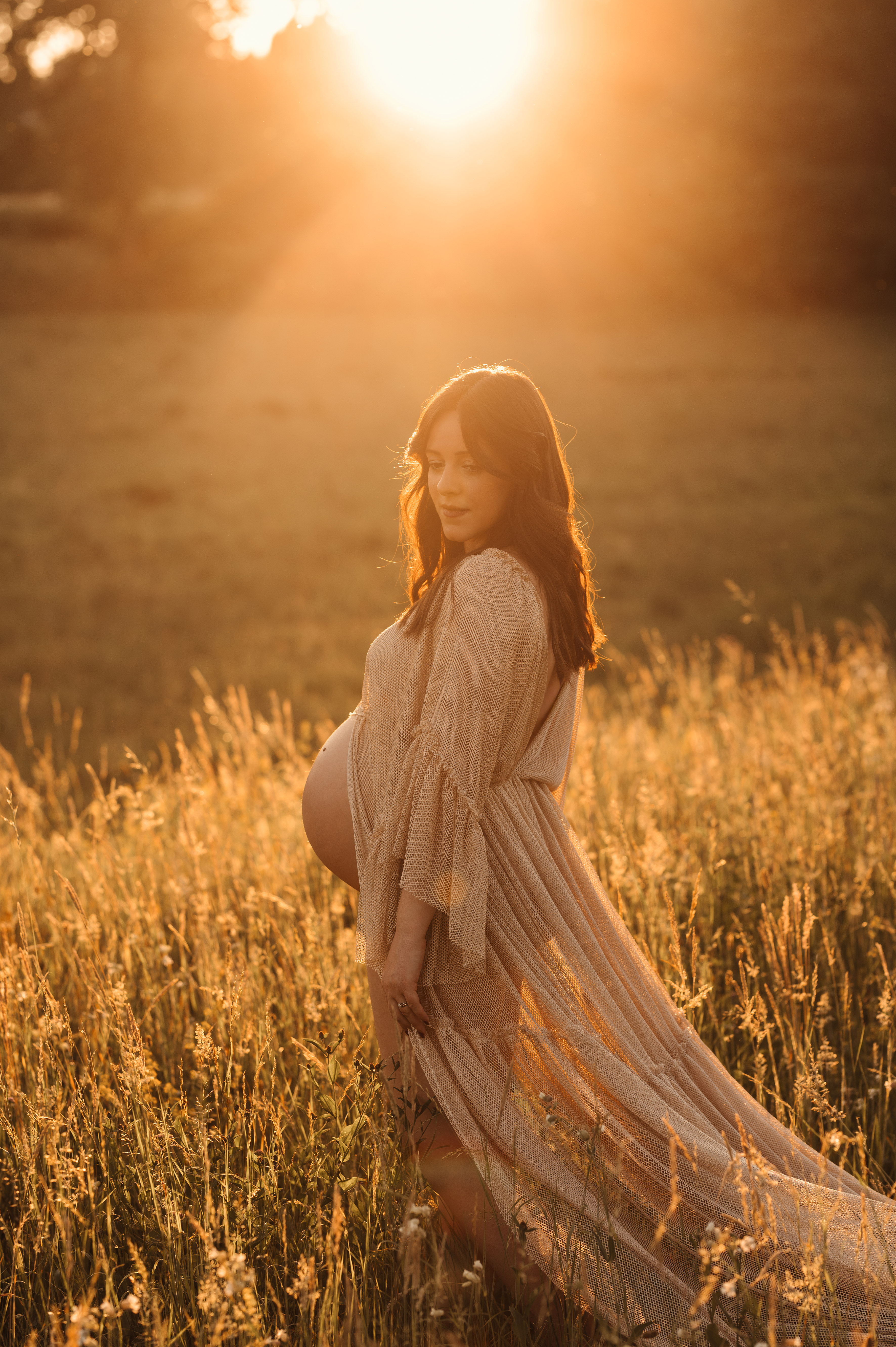 Foto maternity al tramonto: futura mamma di profilo con abito lungo velato in un campo, controluce dorato