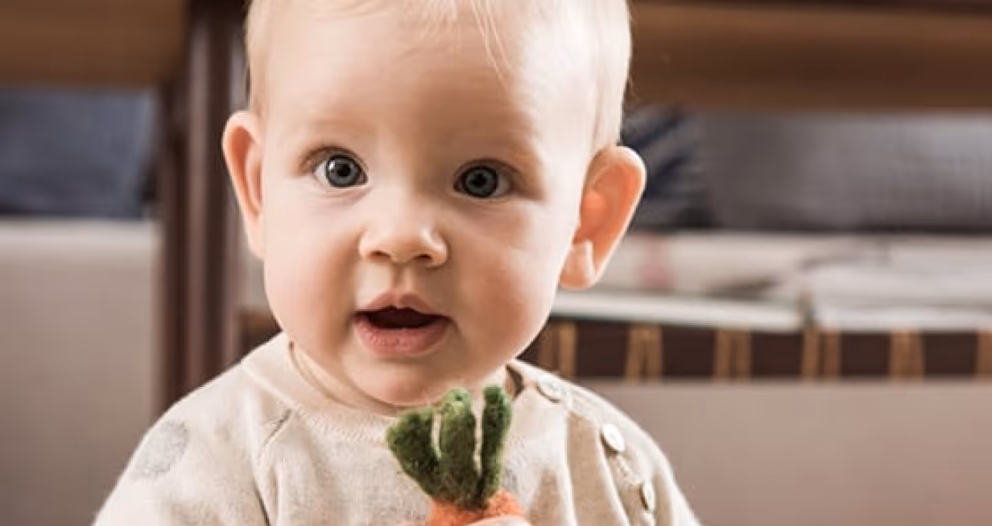 Referenzprojekt: Pressearbeit für Health Brand Löwenzahn Organics