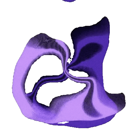 Animated swirling purple and violet abstract shape on a gray background.
