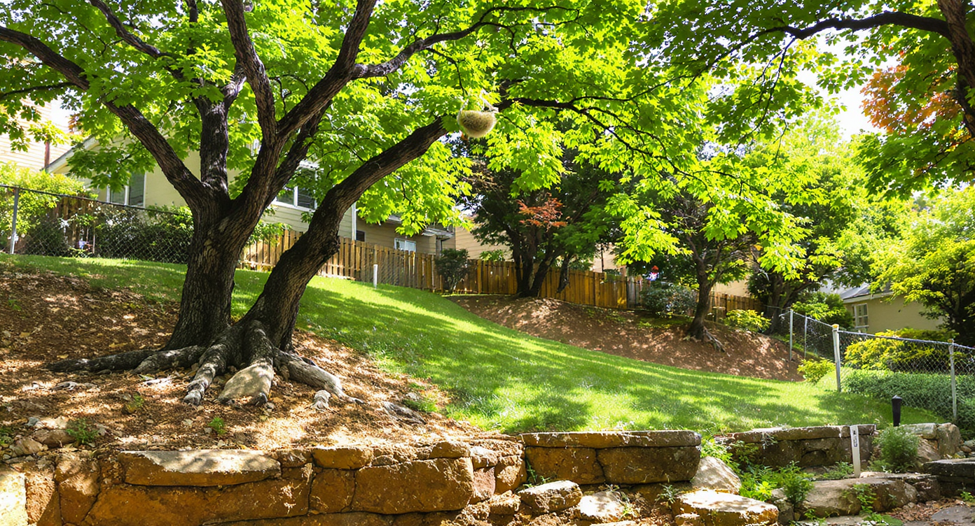Photorealistic view of mature oak and maple trees stabilizing a sloped residential yard, their roots exposed, and canopies sheltering wildlife.