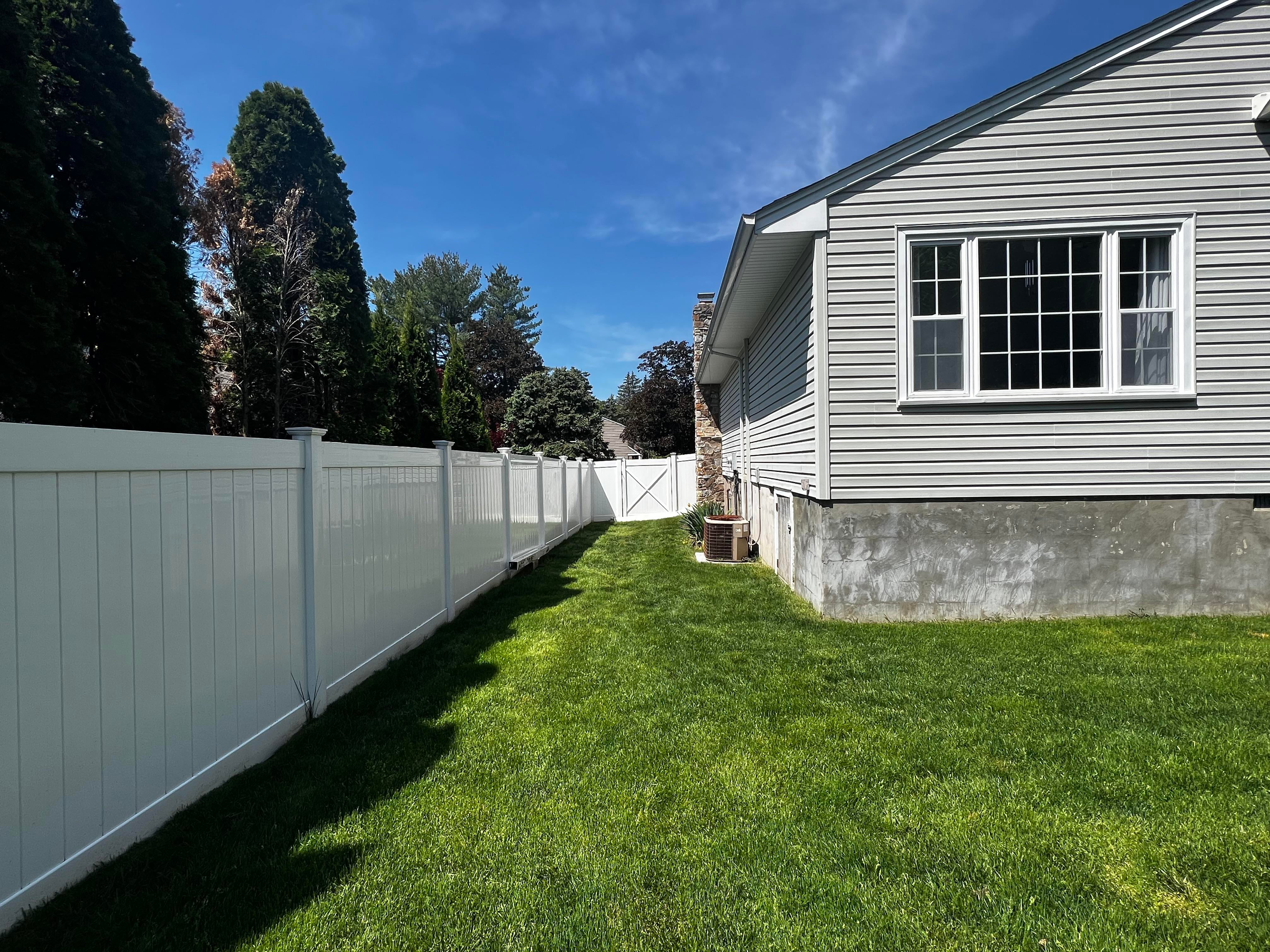 Colorful native plantings in a side yard