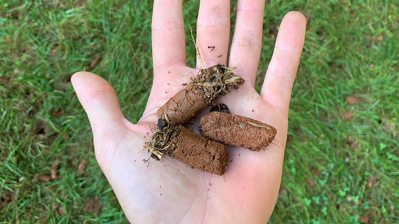lawn cores from fresh lawn aeration services near me