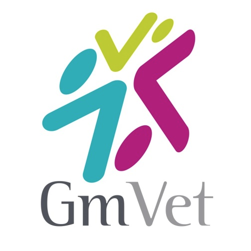 Le logo de GmVet symbolise l'intégration de l'intelligence artificielle et de l'automatisation dans le domaine vétérinaire, visant à améliorer les soins aux animaux et l'efficacité des pratiques vétérinaires.