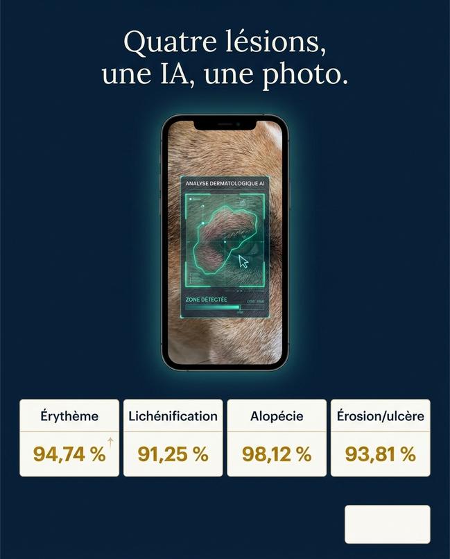 L'image met en avant l'utilisation de l'intelligence artificielle pour l'automatisation de l'analyse dermatologique vétérinaire, identifiant quatre lésions avec des pourcentages de détection.