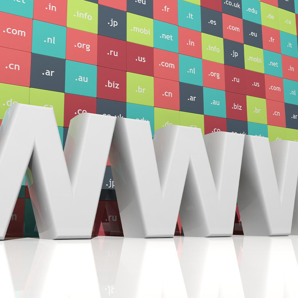 WIPO Domain Name Disputes 2024