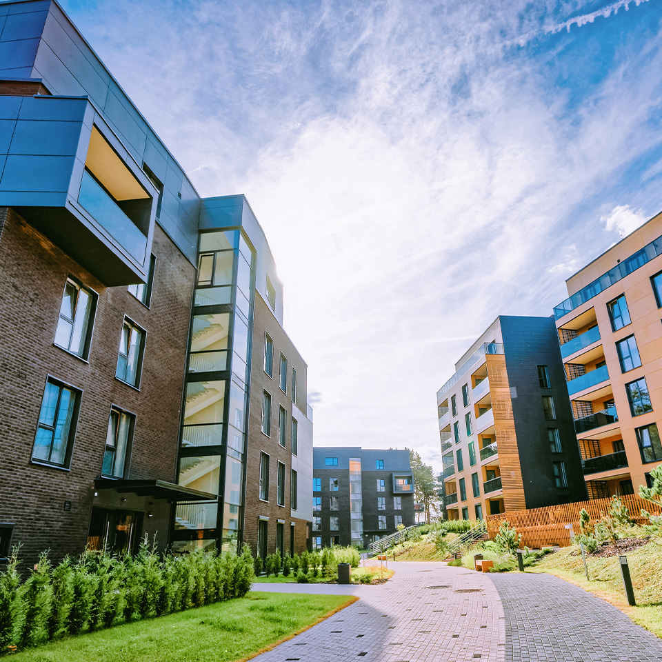 International Property Holding Structures: Company vs Trust