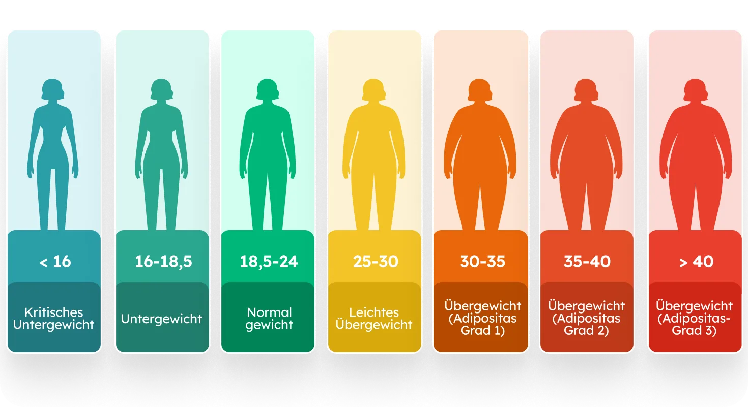 BMI Rechner zeigt verschiedene Stufen von Adipositas