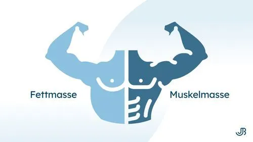 Illustration eines muskulösen Oberkörpers, der in zwei Hälften unterteilt ist: eine Seite zeigt Fettmasse, die andere Muskelmasse. Jan Bahmann erklärt die Unterschiede zwischen Fett- und Muskelmasse.