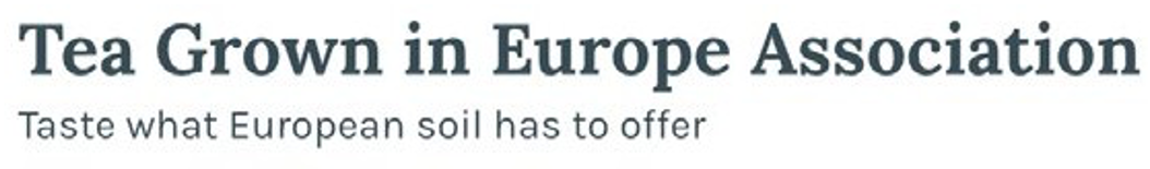 Toogether logo