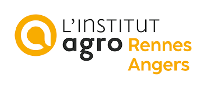 OE logo