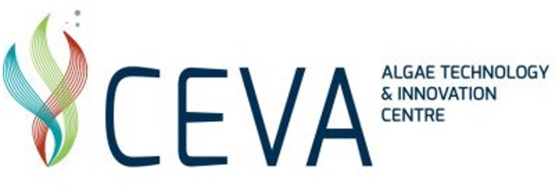 2020INC logo