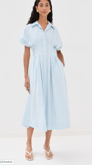 roberta button down dress