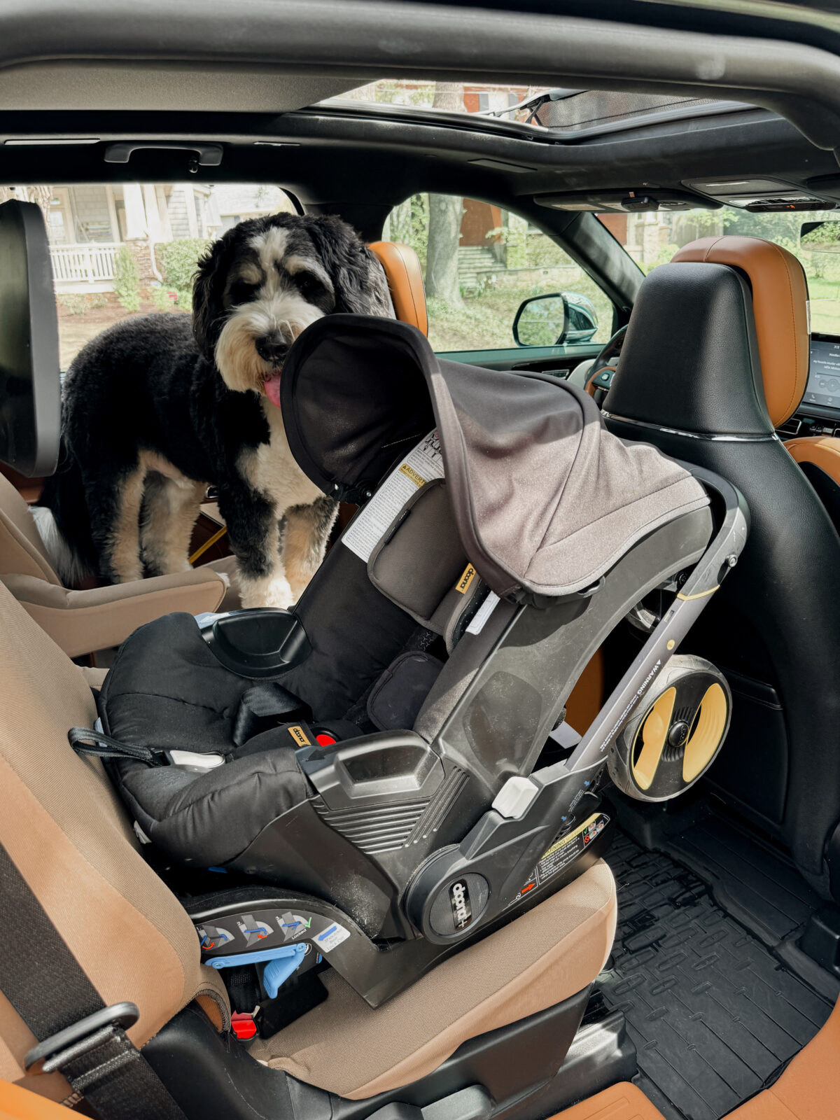 best infant car seat best toddler car seat