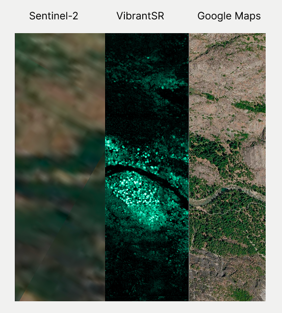 VibrantSR maps forest structure compared to aerial imaging, identifying canopy dominant trees as white or light green. 