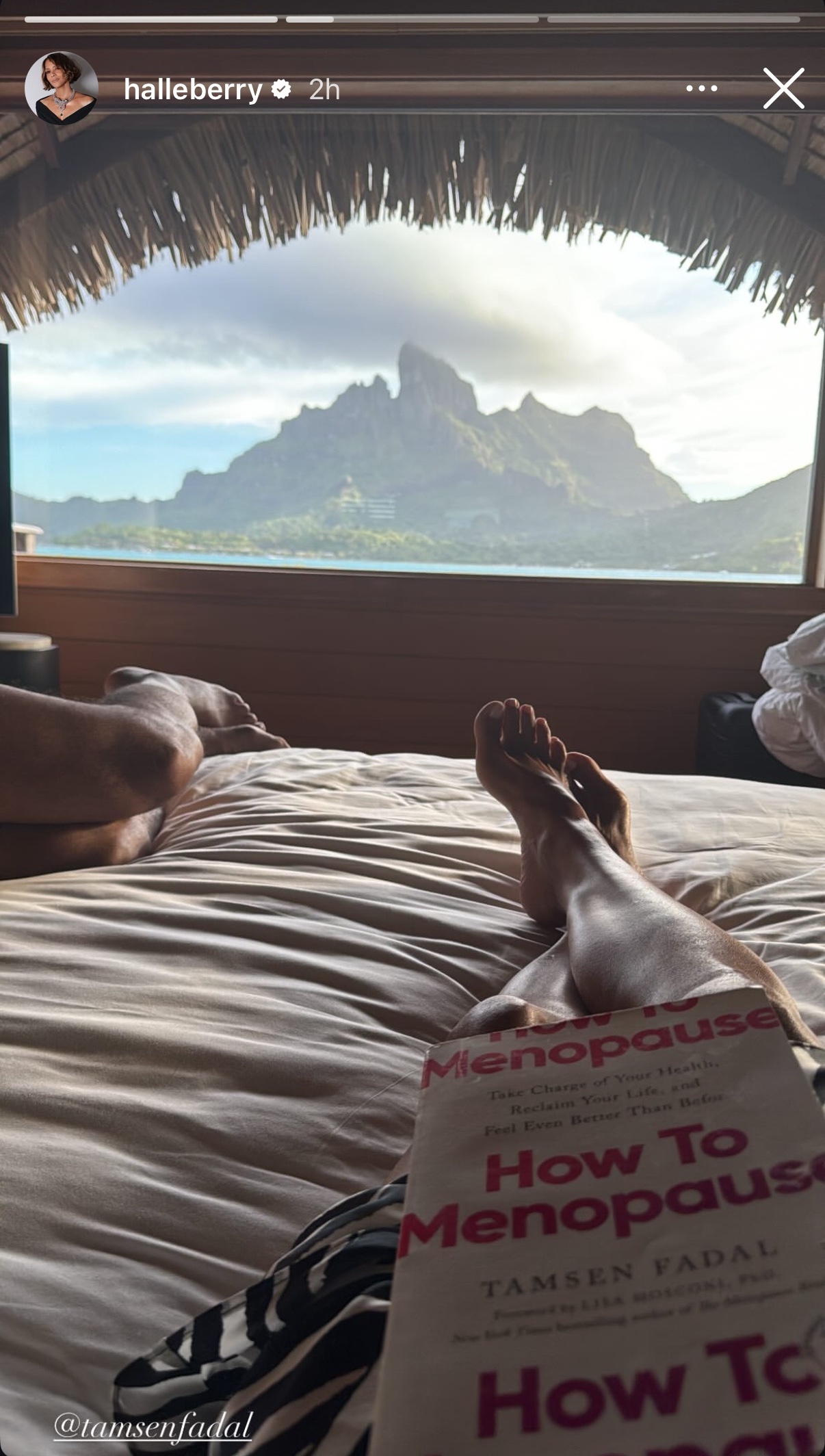 Halle Berry Reading How to Menopause and More