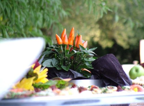 Πιπερίτσες για ντεκόρ