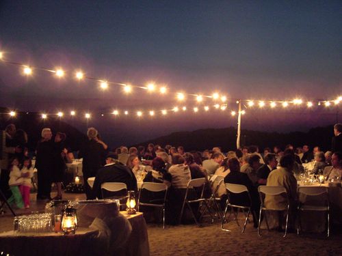 Guests sitting at a wedding