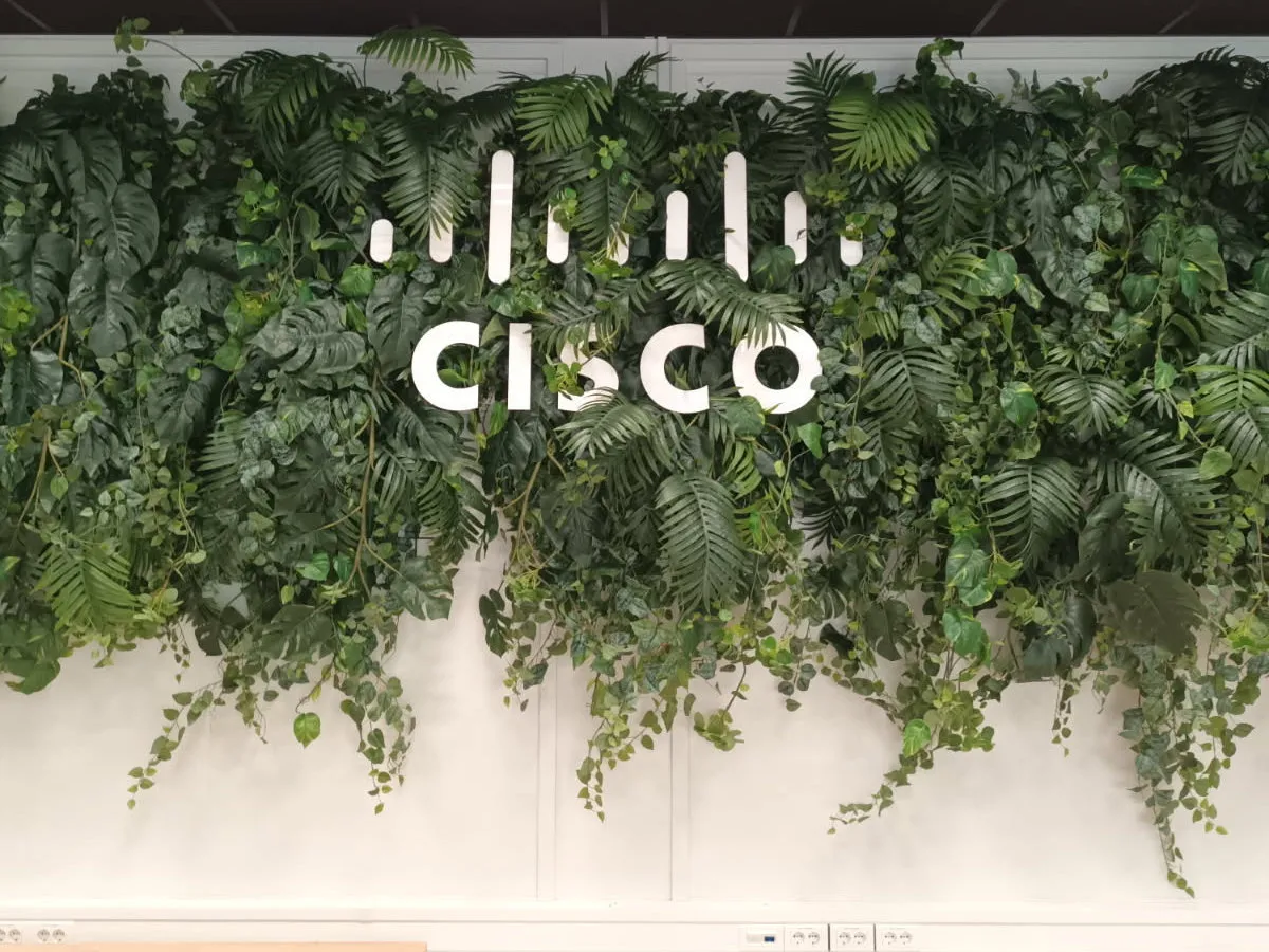 cisco skilt