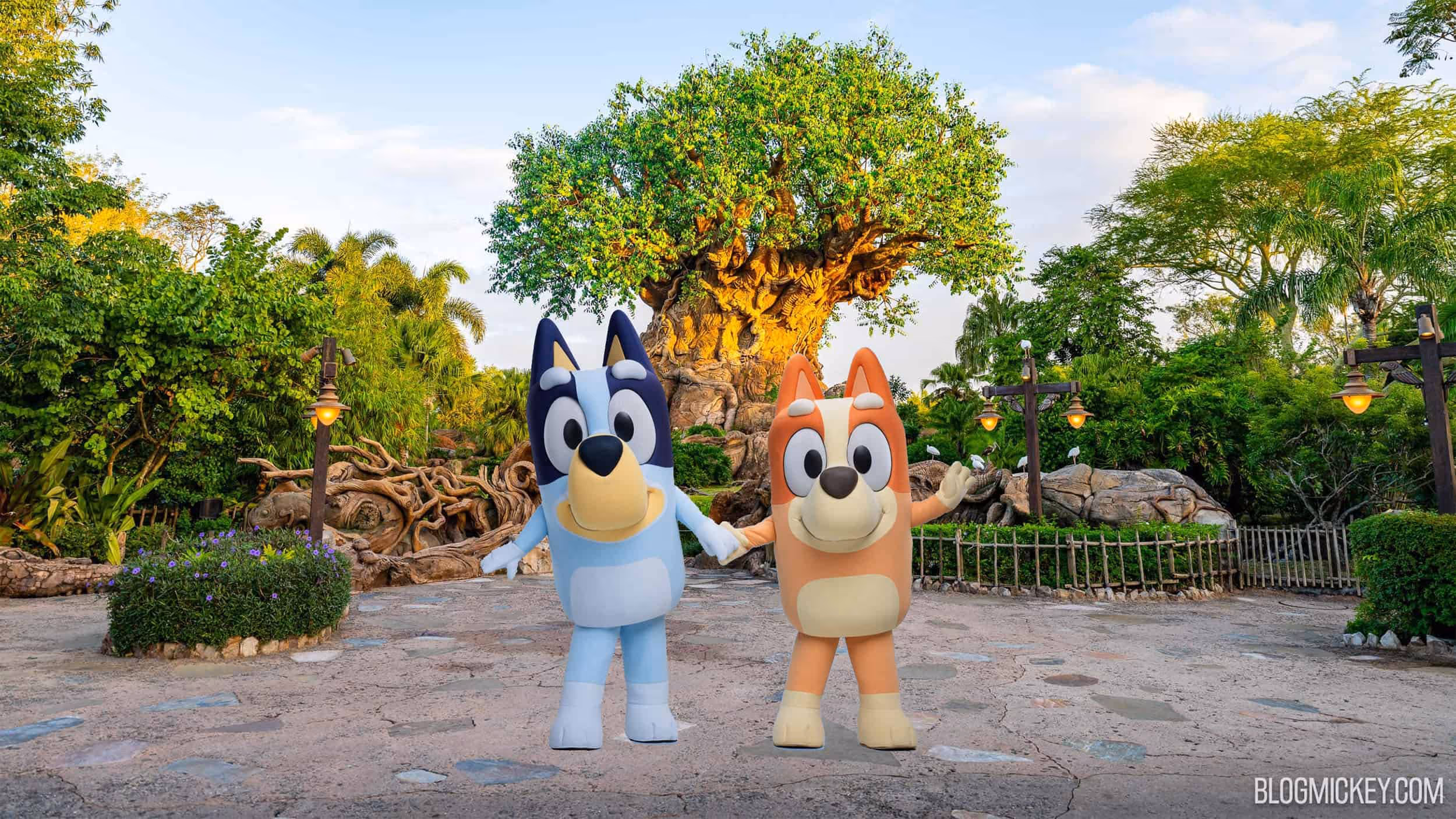 bluey y bingo en animal kingdom