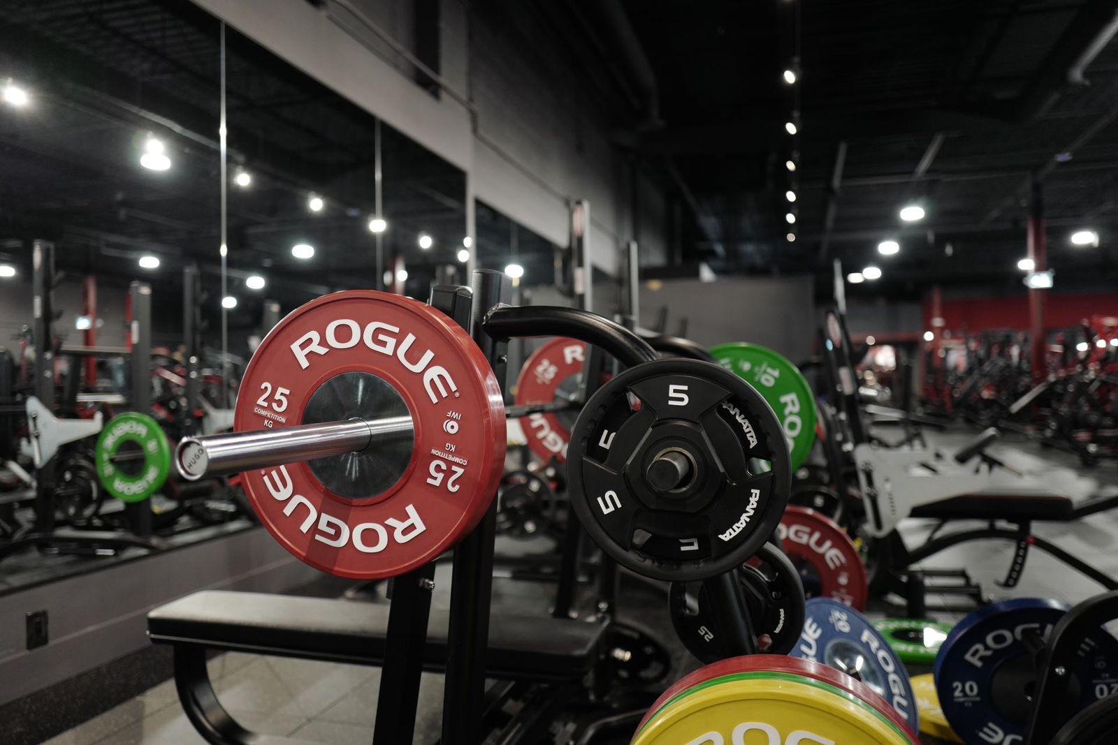 Wu Fitness - Best Gym in Toronto