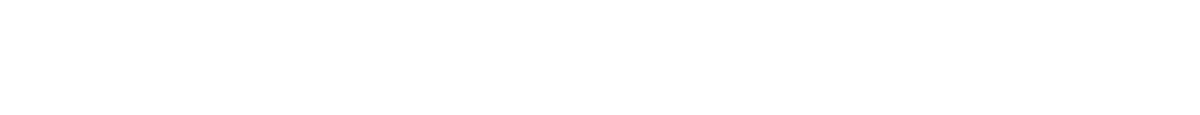 The Feinstein Group