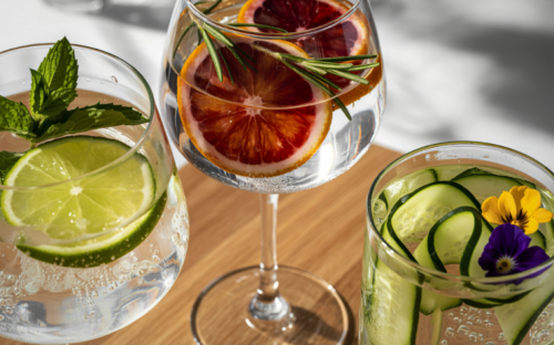 Gin Tonic parfait avec botaniques et concombre