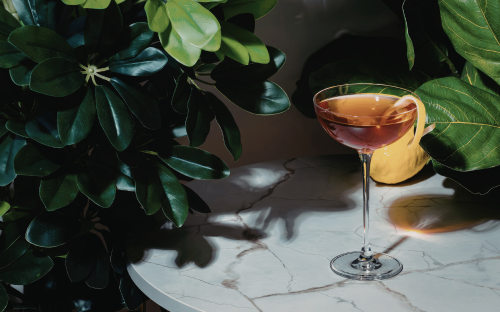 Atelier cocktail EVJF à domicile dans un salon