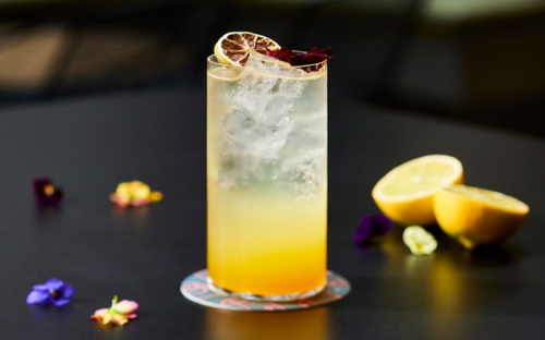 Fruit Collins cocktail long drink gin fruits de saison soda