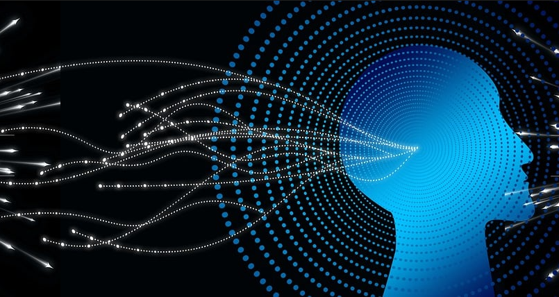 Real-Time Transparency and Observable AI Behavior