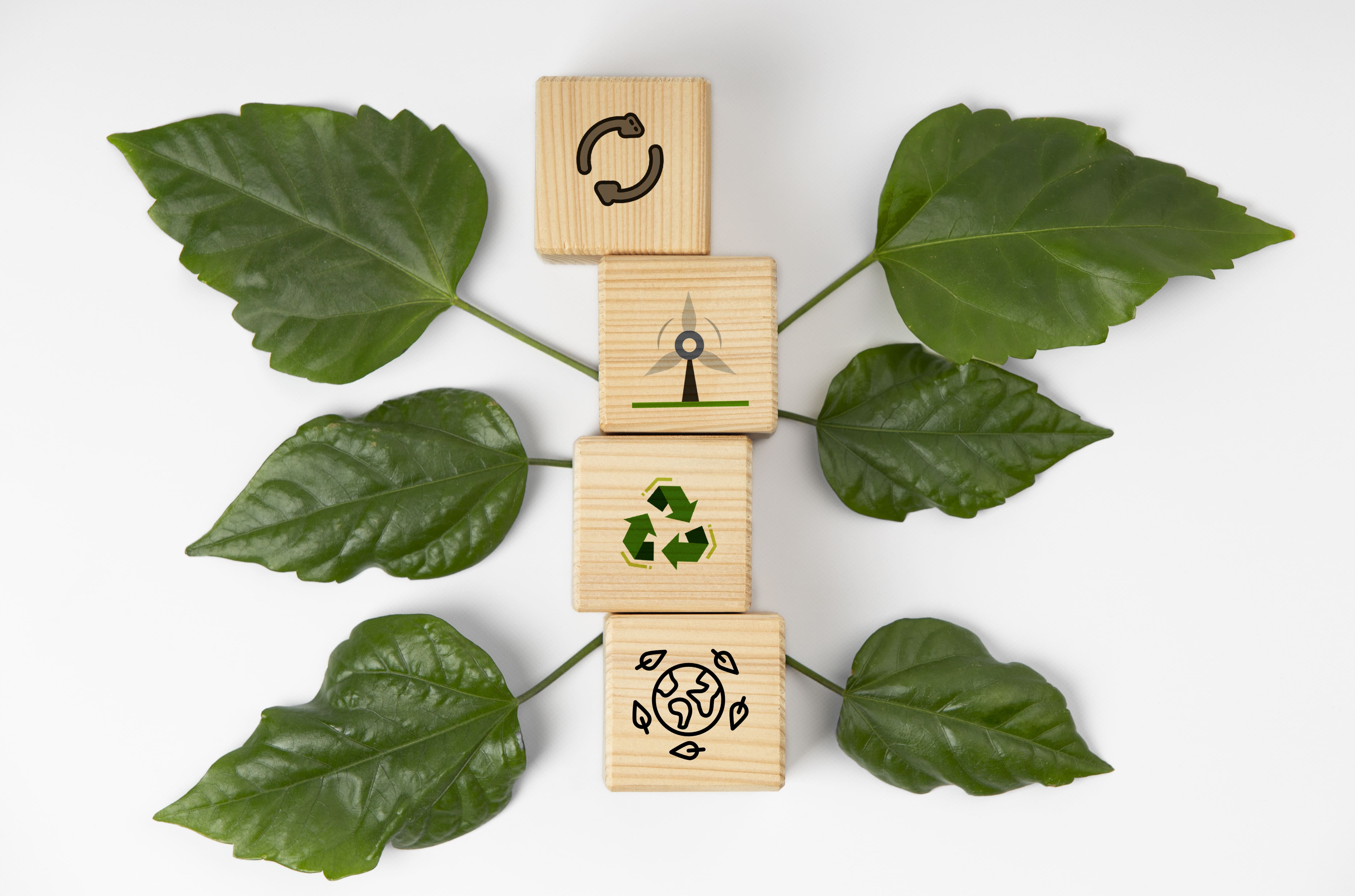 Analyse cycle de vie avec des feuilles 