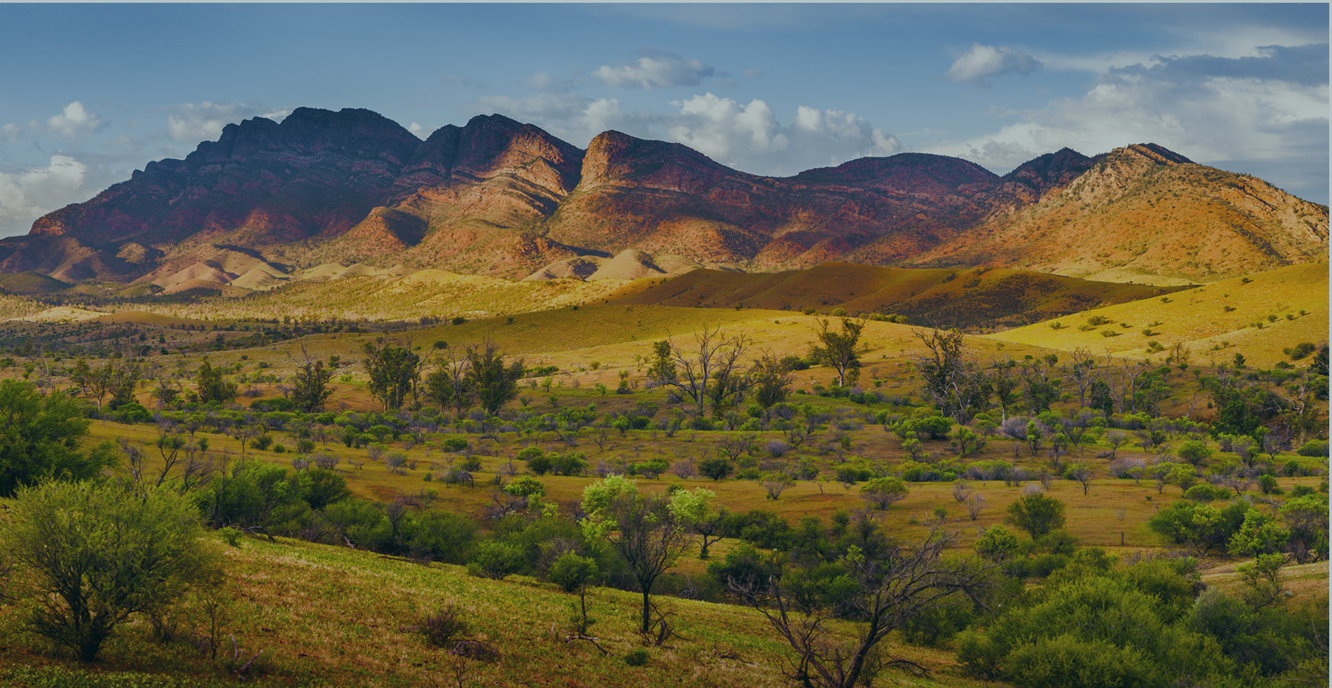 ASRS Disclosure tips for Australian Companies: Lessons from Early Adopters