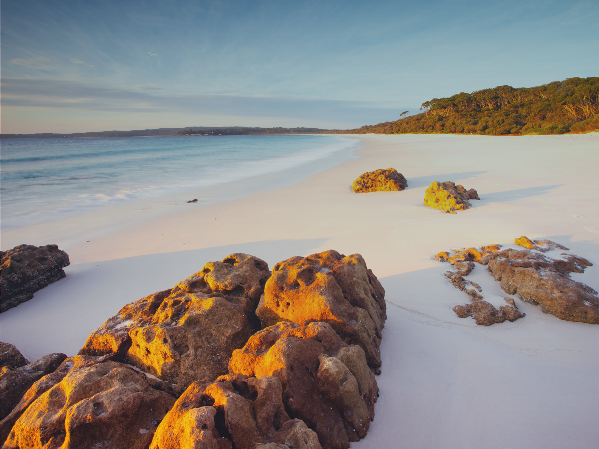 Getting Audit-Ready for ASRS: What Auditors Will Focus On