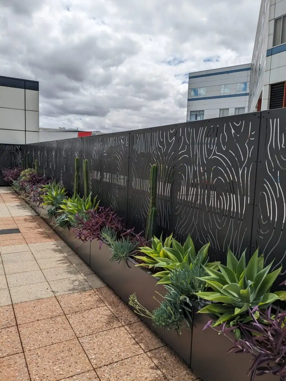 Decorative metal fence with succulents and cacti in urban landscape
