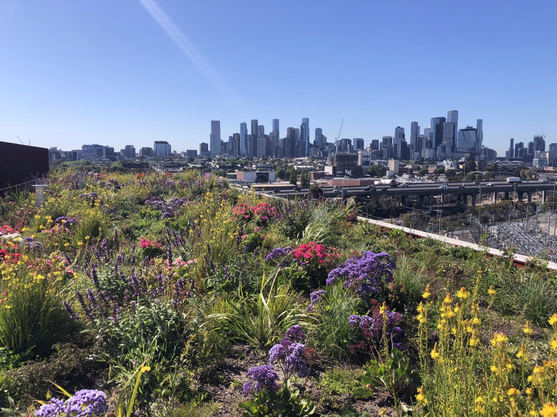 Rooftop garden with colorful flowers overlooking a sprawling city skyline.