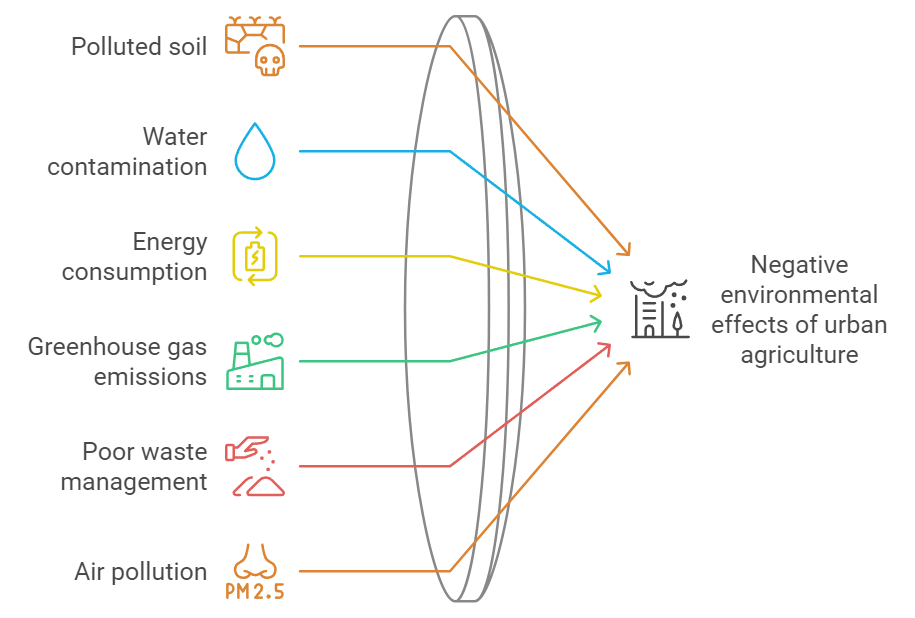 Disadvantages Of Urban Agriculture Evergreen Infrastructure
