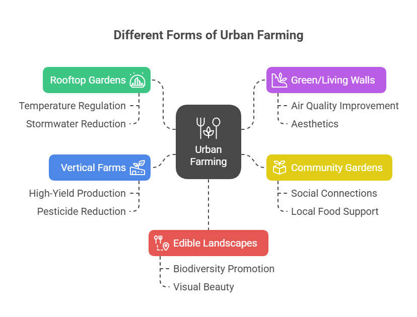 An infographic that illustrates different forms of urban farming